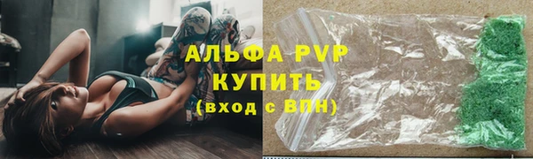индика Алексин