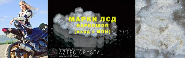 индика Алексин