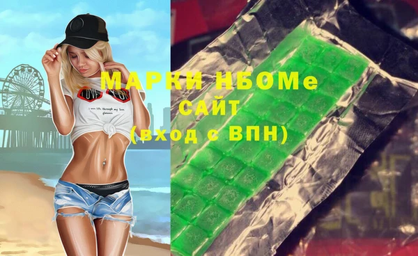 индика Алексин