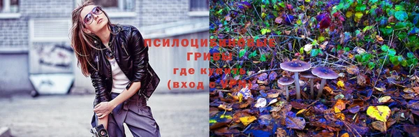 марки lsd Алексеевка