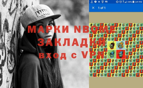 индика Алексин