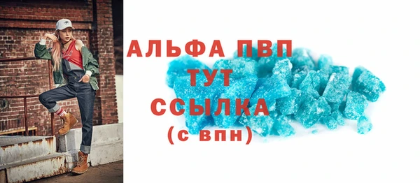 индика Алексин