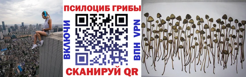 Псилоцибиновые грибы Cubensis  купить   нарко площадка формула  Ливны 